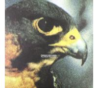 Pernice Brothers - World Won't End [Import]