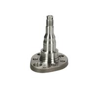 Perno De L'Axe Arrière BTA Pour VW Audi Seat Skoda H5W027BTA