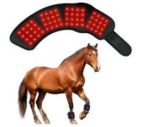 Perodlly Thérapie par lumière Rouge Portable pour Chevaux, Tapis de thérapie par lumière Rouge équine sans Fil et Rechargeable avec Deux Longueurs d'onde pour Un Soutien Quotidien aux Soins.