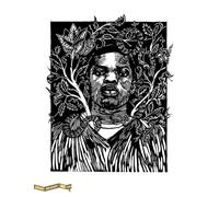 Perpendiculaire Au Soleil