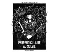 Perpendiculaire au soleil
