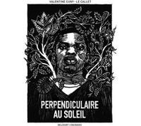 Perpendiculaire au soleil