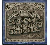 Perpetual Groove - Sweet Oblivious Antidote [Import]