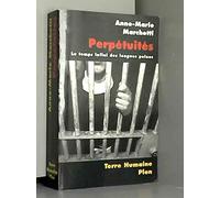 Perpétuités : le temps infini des longues peines