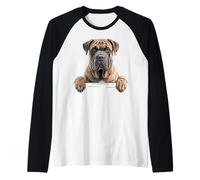 Perro de Presa Canario Chien Mastiff Canari Manche Raglan