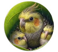 Perroquet 1000 Pièces Puzzle Circulaire Peinture Artistique créative Puzzles Classiques Puzzle Rond Créatif Jeu D'Intelligence Cadeaux 1000pcs (67.5x67.5cm)