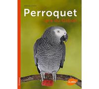 Perroquet gris du Gabon