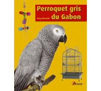 Perroquet gris du Gabon