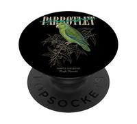 Perroquet Vintage du Pacifique Observant Les Oiseaux Amoureux de la Nature PopSockets PopGrip Adhésif