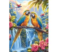 Perroquets dans un jardin tropical avec cascade 1000 Pieces Casse-tête Débutant En Carton Haute Qualité Animal sauvage et plante Facile Apprentissage Loisir Créatif Décoration Murale Cadeau Saint Vale