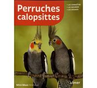 Perruches Calopsittes