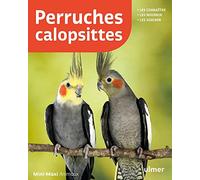 Perruches calopsittes
