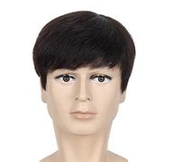 Perruque 10 Pouces Naturelles Droites Hommes Perruques Courtes Fibre Haute Température Noir Mâle Postiches Synthétiques Pour Les Affaires/Homme D'Âge Moyen Perruques Grises Pour Les Femmes