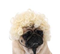Perruque amusante pour chiens de petite, moyenne et grande taille, perruque de cosplay pour Halloween, Noël