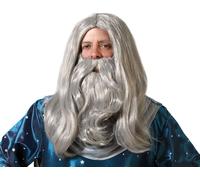 Perruque avec barbe gris magicien
