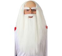 PERRUQUE & BARBE DRUIDE