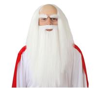 PELUCA Y BARBA DRUIDA EN CAJA