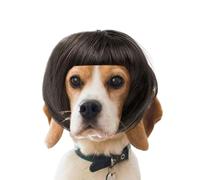 Perruque Chien Frange Cosplay |* 1 Pièce Accessoire Cheveux Synthétiques Ajustable | Perruque Drôle Pour Animaux | Parfait Halloween Noël Fête Vacances Photos Décontracté, Universelle Petit/Moyen Chie