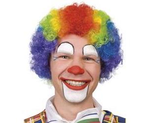 perruque clown curly cheveux multicolore adulte - boland 85926 Multicolore G