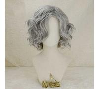 Perruque Cosplay Anime，Fate Grand Order Edmond Dantes Perruque，Grey Short Curly Perruque，avec Filet de Cheveux Gratuit，pour Fête Carnaval Halloween Perruques