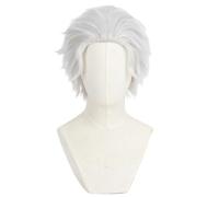 Perruque Cosplay Pour Hommes Pour Emia Cheveux Courts Cheveux Lissés En Argent Perruque Courte Costume D'halloween Perruques De Film De Fête