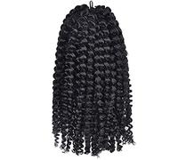 Perruque Courte Bouclée Torsadée Cheveux Tresses Au Crochet Extensions De Cheveux Synthétiques Pince À Cheveux Bouclée Pour Femmes Noires 8-12 Pouces 1 Pièce Perruques Grises Pour Femmes (8 8 Pouces)
