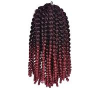 Perruque Courte Bouclée Torsadée Cheveux Tresses Au Crochet Extensions De Cheveux Synthétiques Pince À Cheveux Bouclée Pour Femmes Noires 8-12 Pouces 1 Pièce Perruques Grises Pour Femmes (9 8 Pouces)