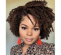 Perruque Courte et Frisée Side Part Afro Bomb Africaine - Fibres Synthétiques Résistantes à la Chaleur pour Femmes Noires - 8 Pouces (Marron)