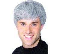Perruque Courte Grise Homme Grise G