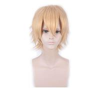 Perruque courte or jaune gris bleu marron vin rouge Orange haute température fibre synthétique perruques Costume fête Cosplay perruque PL-002-30