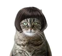 Perruque De Chat Faux Cheveux À Ajustement Réglable Avec Frange