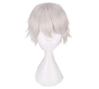 Perruque de cheveux cosplay gris argenté pour hommes cheveux naturels 30 cm résistant à la chaleur gris cheveux synthétiques cosplay perruques pour perruque commune K049-02