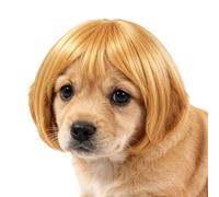 Perruque de Chien Drôle Franges Ajustable Style Humain Pour Animaux Costume