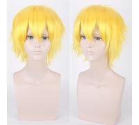 Perruque de cosplay anime pour Halloween Fashion Christmas Party Dress Up Wig Cos Wig Juvénile Reverse Warped Cheveux courts Couleur universelle pour homme Perruque Cosplay Anime Wig Couleur :