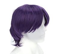 Perruque de Cosplay Violette pour Homme, Courte Anime Male Guy Quotidien Cosplay Party Perruques pour Cosplay Costume Party Halloween, Perruque Synthétique Moelleuse Naturelle