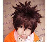 Perruque de déguisement pour Halloween, fête de Noël, perruque Cos Sawada Tsunayoshi ferme le visage s'envolant vers le ciel, perruque épaisse d'anime brun-rouge