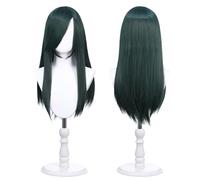 Perruque de déguisement universelle 60cm pouces avec 2 filets à cheveux pour cosplay, Halloween et fêtes à thème (Vert Foncé)