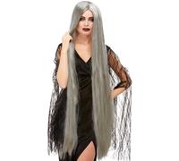 Perruque De Sorcière Grise Extra Longue Pour Femmes Halloween 120Cm Par Smiffys
