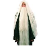 Perruque Druide Blanche Avec Barbe A Elastique Blanc G
