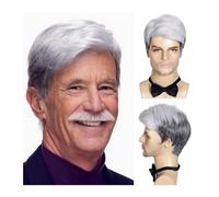 Perruque en Cheveux Costume d'halloween Cheveux Seniors Hommes Argent Blanc Perruque synthétique Gris Perruques for Vieil Homme toupets Masculins Perruque pour Homme