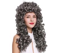 Perruque Femme Homme Baroque Renaissance Roi Noble Longue Boucles Frisées Grise