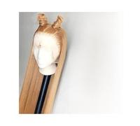 perruque femme naturelle Perruques en cheveux humains blond miel #27, perruques frontales en dentelle HD 13x6, perruques droites en cheveux humains perruque femme(28inches)