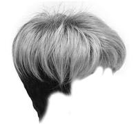 Perruque Grise Courte Pixie à Fibre Haute Température, Synthétique Ondulée pour Femmes