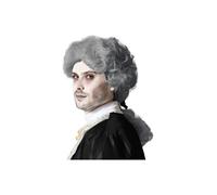 Perruque Grise Homme Marquis