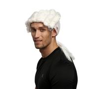 Perruque Homme Carnaval Baroque Renaissance Bouclé Blanc Tresse Lord Juge Prince