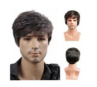 Perruque Homme Cheveux Synthétiques Courts Gris Mixte Perruques for Hommes Naturel Homme Usage Quotidien Perruque Courte Droite Haute Température Fibre Perruques for Costume Party Perruques pour Hom