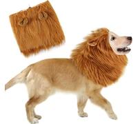 Perruque Lion Chien. Déguisement Chien pour Halloween et Carnaval. Costumes pour Petits, Moyens ou Grands Chiens. Déguisement pour Animaux. Laisse Ton fidèle ami ensorceler Le Carnaval.
