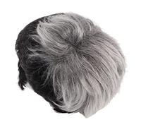 Perruque Masculine, Perruque Courte Naturelle Grise en Couches pour le Jeu de Rôle
