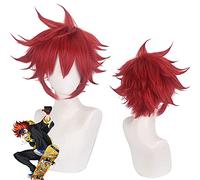 Perruque parfaite pour les fêtes quotidiennes Cosplay Unlimited Skateboard Sk∞ Calendrier Rouge Big Anti-Alice Anime Perruque