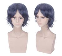 Perruque parfaite pour les fêtes quotidiennes The Prince of Tennis Ice Emperor Relic Department Jing Wu Grey Purple Mid Point Liu Hai Retroussé Cheveux Courts Cos Perruque